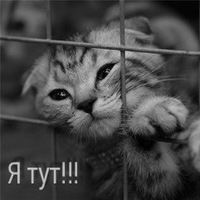 Рената Класная