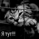 Рената Класная