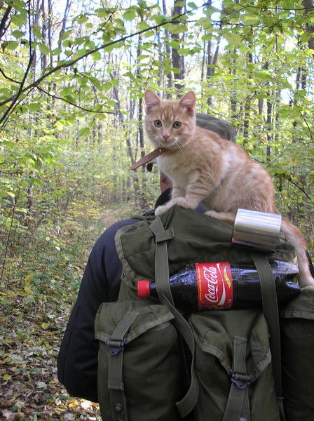 Слава Слава