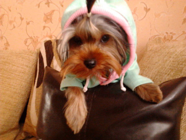 О Л Е Н Ь К А А*