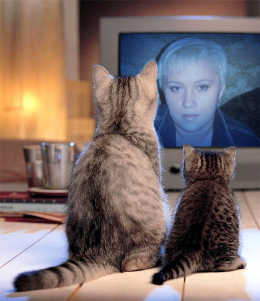 Юля Иванова