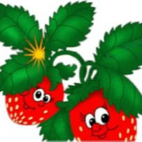 Ольга Дейхина