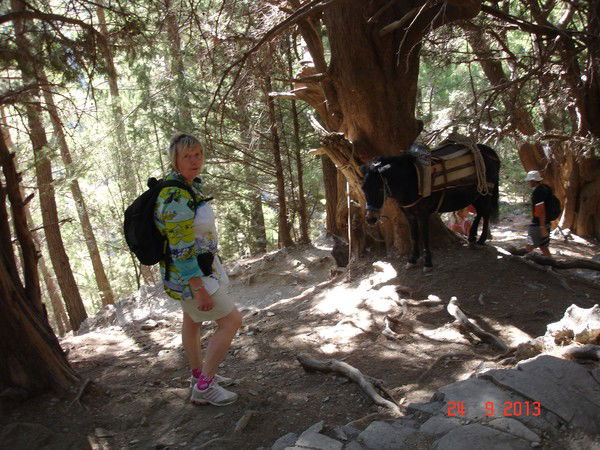 Лучше переесть чем недоспать откуда фраза. Смотреть фото Лучше переесть чем недоспать откуда фраза. Смотреть картинку Лучше переесть чем недоспать откуда фраза. Картинка про Лучше переесть чем недоспать откуда фраза. Фото Лучше переесть чем недоспать откуда фраза