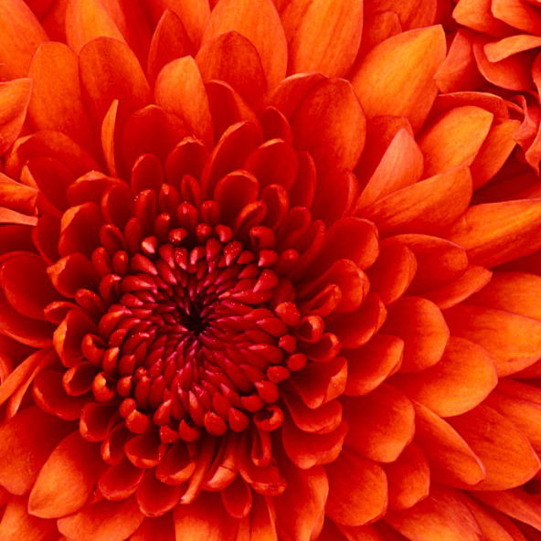 Государственное Учреждение Аппарат Акима