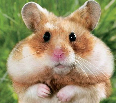 Александр ****