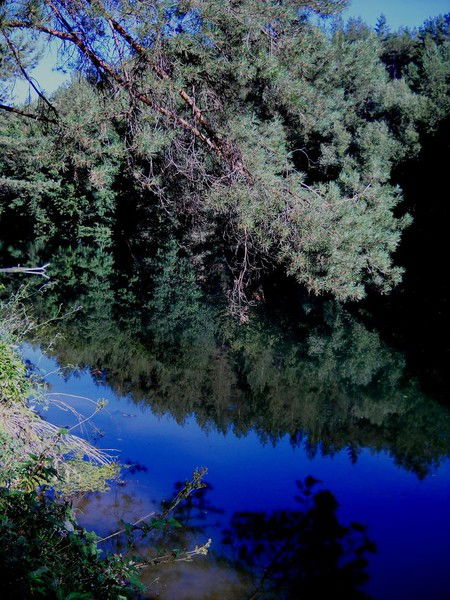 Александр Якунин