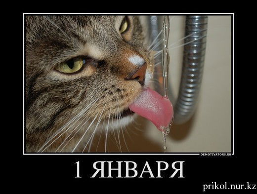 Лейла Калинина