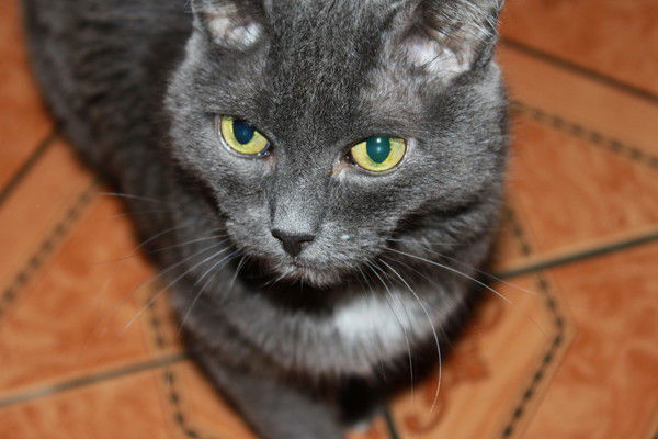 Любовь Астапчик