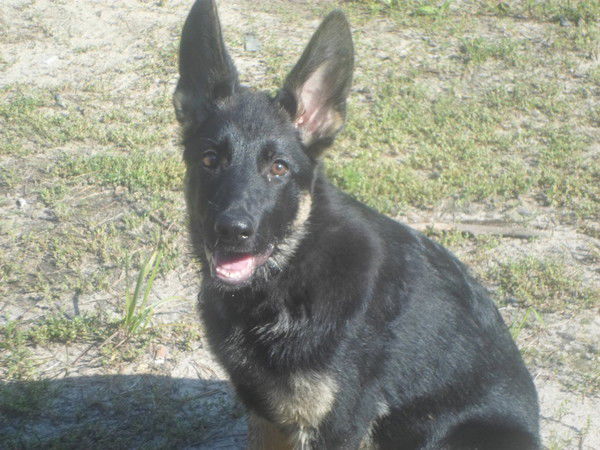 Татьяна Шелудкова