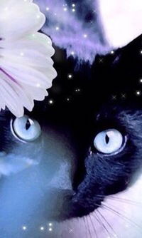 Ксюша Горовенко