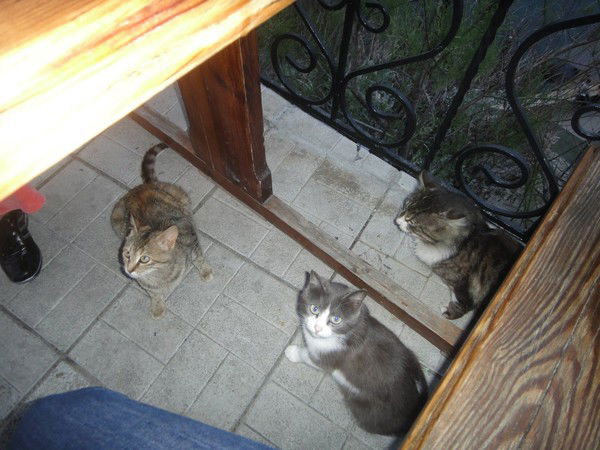 Вадим Соловьёв