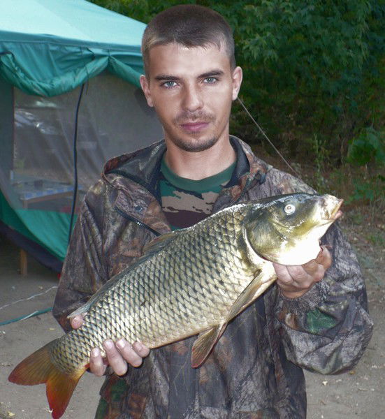 Дмитрий Шипилов