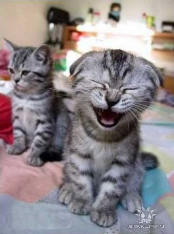 Наталья Долгова-Ефименко