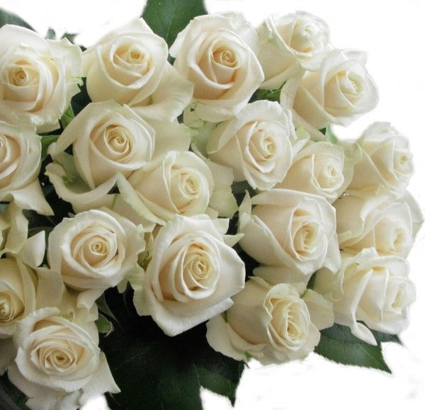 Салтанат Тален