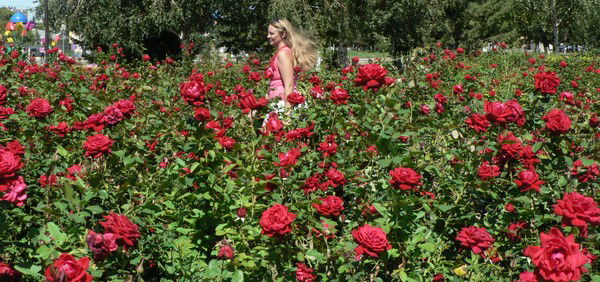 Вера Хохлова