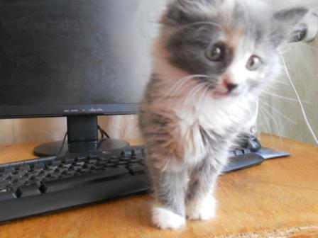 Гульнара Губанова