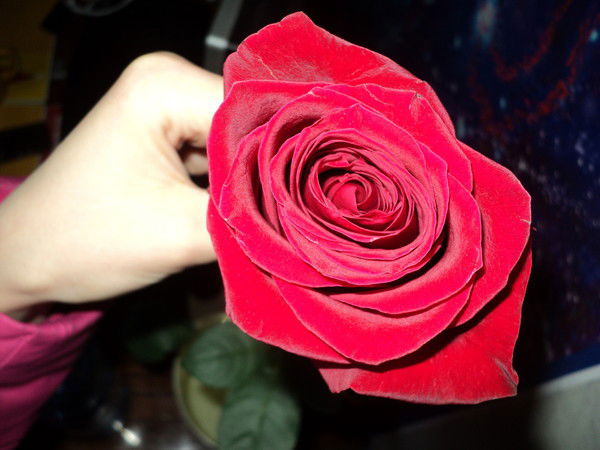 Юлиана Эккерт