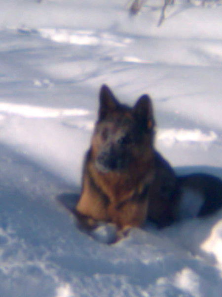 Оксана Мицик