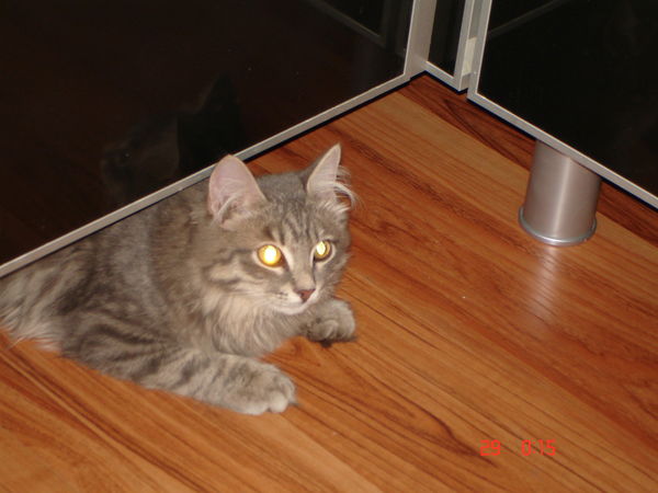 Татьяна Базарова