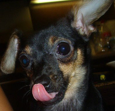 Наталья Марникова