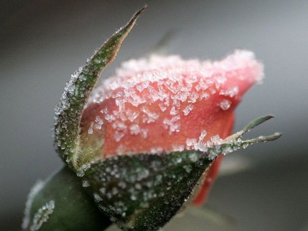 Юлия Маракасова