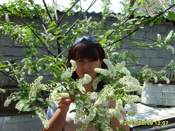 Елена Зинченко