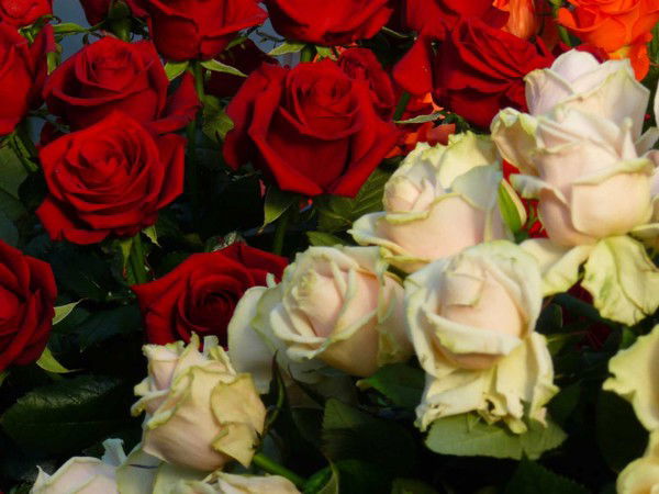 Айгуль Узакова