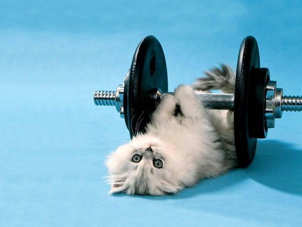 Евгений Михайлов