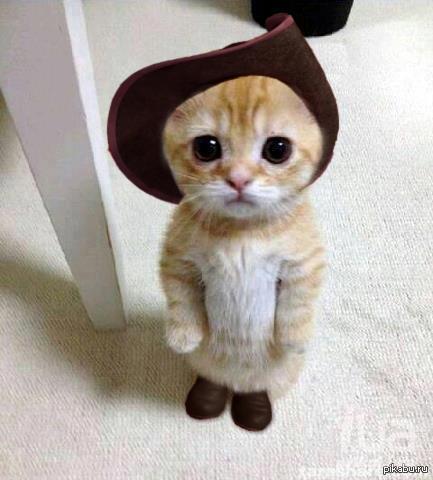 Дмитрий(Федор) Федоров