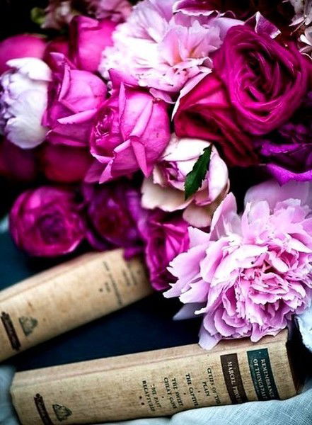 Караван Днепр