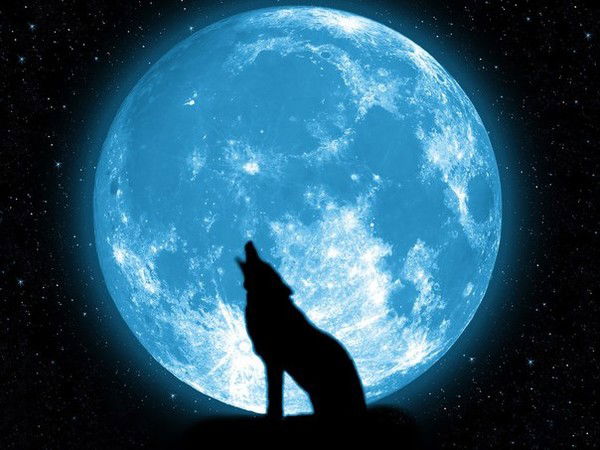 Артём Басиев