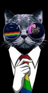 Серёжа Никитин