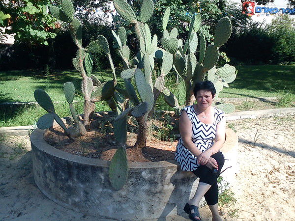 Светлана Третьякова