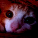 Сергей Александров