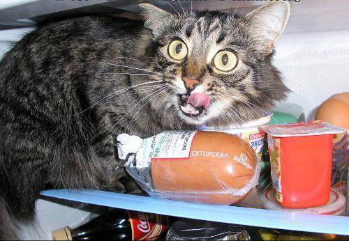 Александр Т