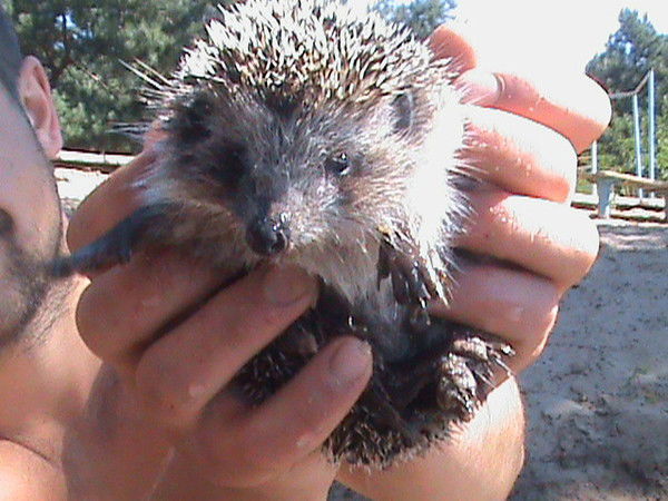 Женя Лазуренко