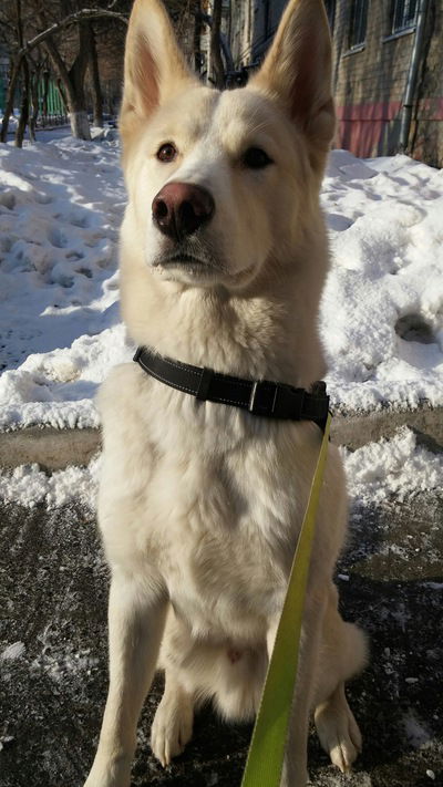 Екатерина Санникова