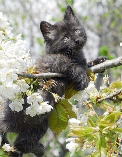 Зарина Закарина