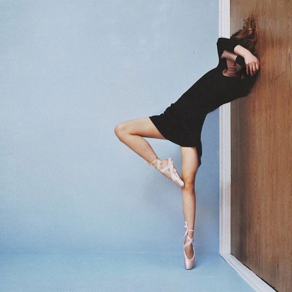 Лилия Rosa_Dei_Venti