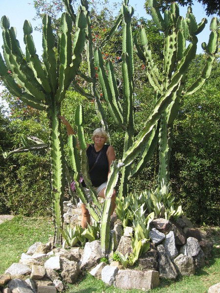 Елена Володина