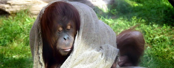 Николай Крючков