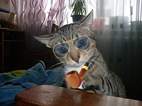 Оксана Гомза