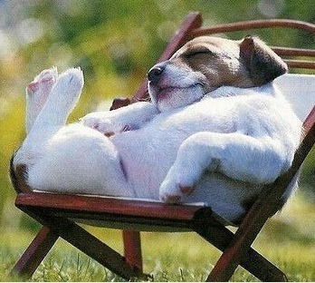 Никита Трусенков