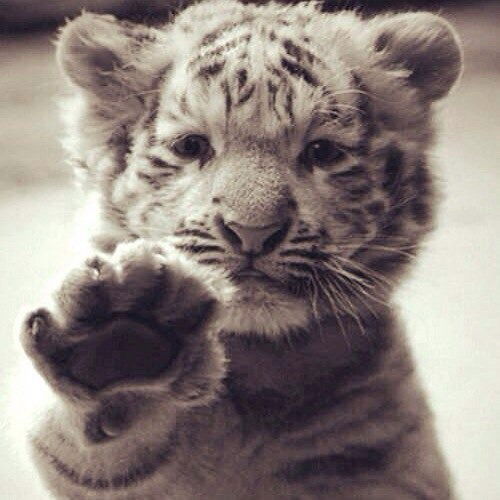 Бексултан Аронов