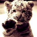 Бексултан Аронов