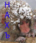 Евгений Велиженков