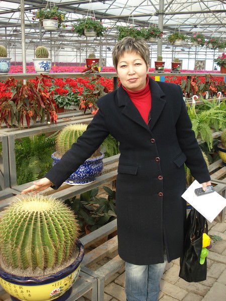 Айгуль Сейсекулова