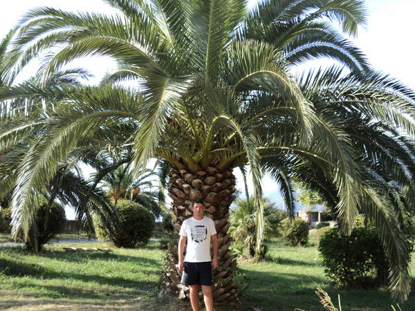 Семён Ухарский