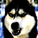 Виталий Кузьменко