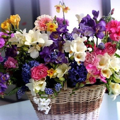 Елена Абрамова